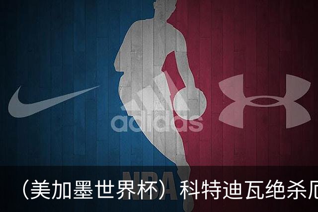 （美加墨世界杯）科特迪瓦绝杀厄瓜多尔 瑞典5:1大胜突尼斯